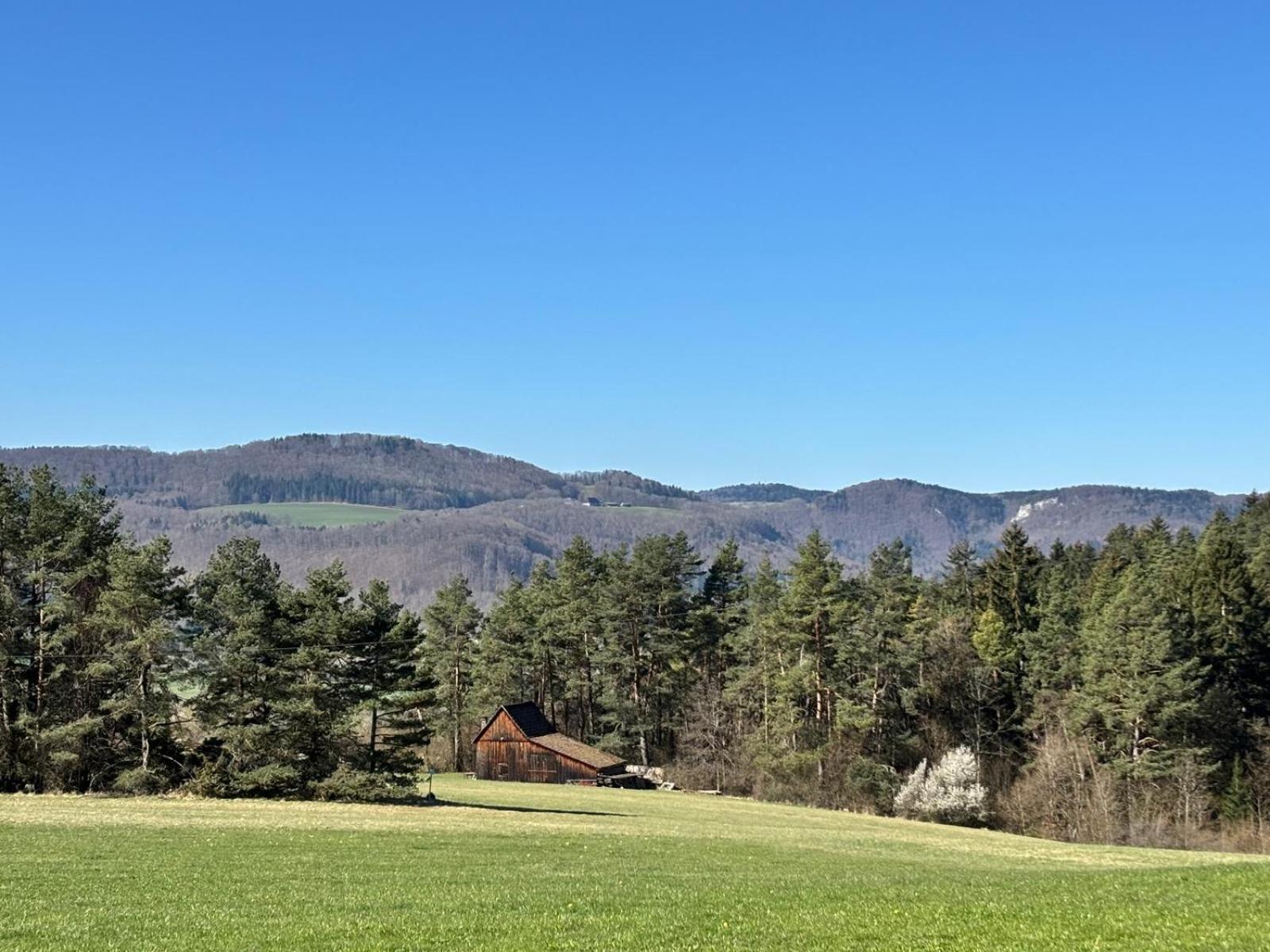Atemberaubender Ausblick Mit Premium-Wanderwegen Vor Der Haustuer Apartment Albstadt Exterior foto